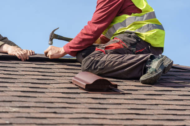 Best Roofing Contractor Near Me  in Montrose, MI