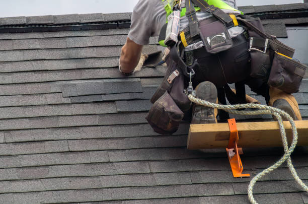 Best Commercial Roofing Services  in Montrose, MI