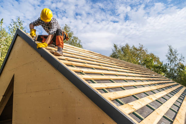 Professional Roofing Contractor in Montrose, MI