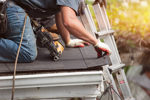 Best Roof Waterproofing Services  in Montrose, MI
